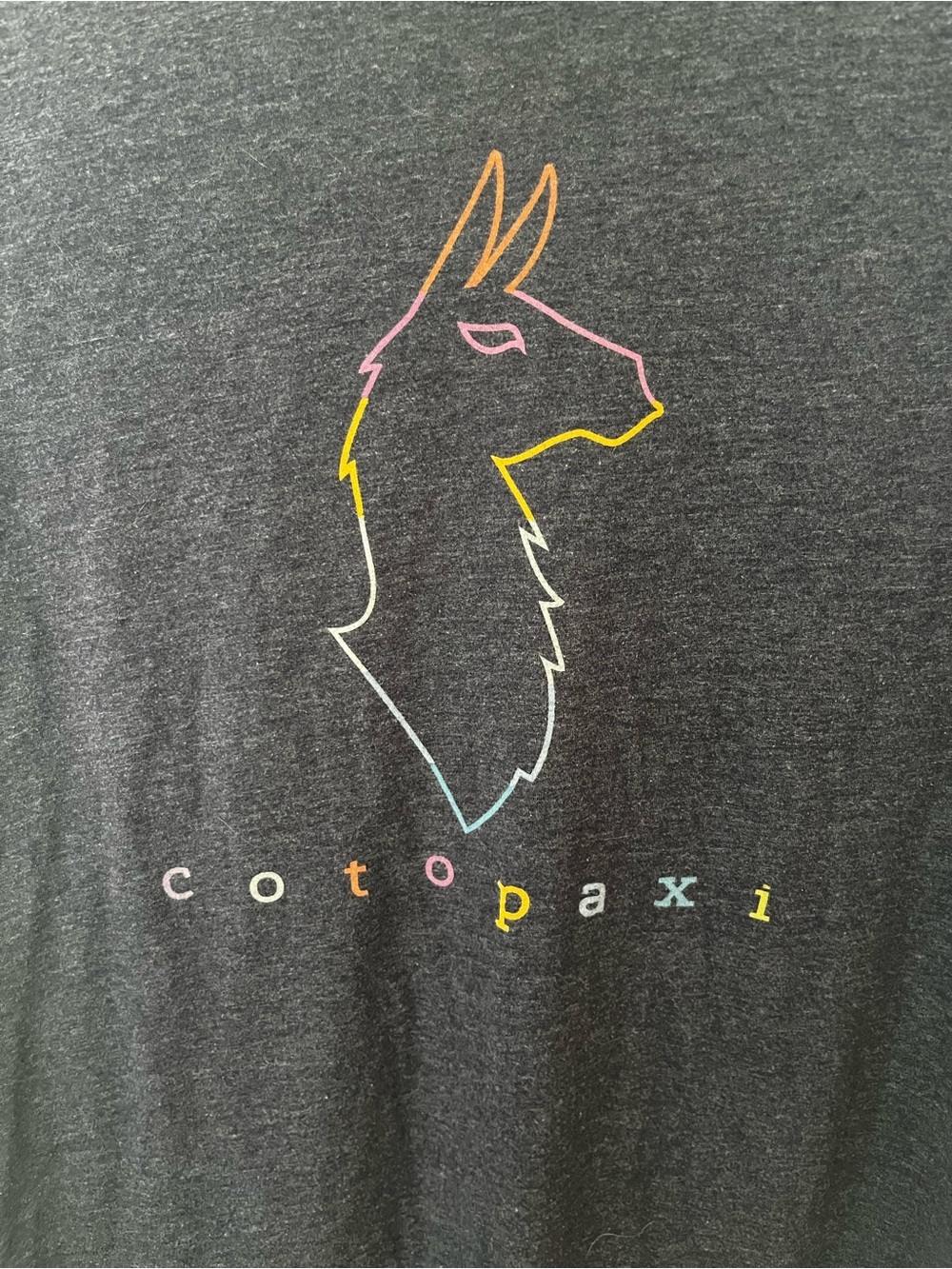 Cotopaxi Graphic Logo T-Shirt | Llama Tee | Heather Navy | Women's XL